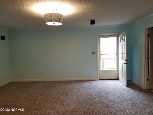 spare room featuring ornamental molding, light carpet, and a textured ceiling