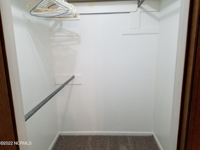 spacious closet with carpet flooring