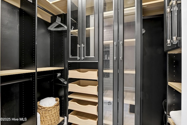 view of walk in closet