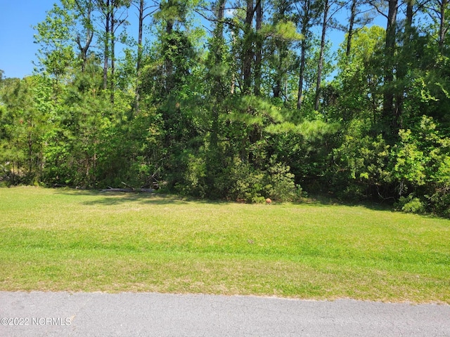 Listing photo 2 for 306 Limbaugh Ln Unit 45, Swansboro NC 28584