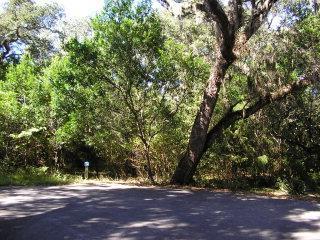 9 Partridge Berry Ct Unit 14, Bald Head Island NC, 28461 land for sale