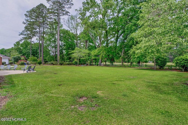 view of yard with a patio area