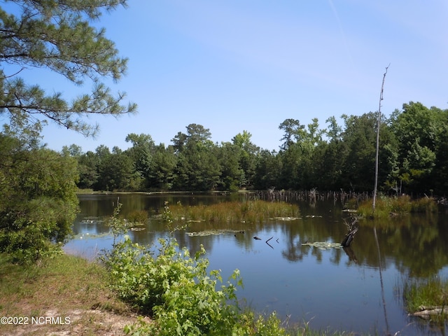 Listing photo 3 for 5228 Will Inman Rd, Tabor City NC 28463