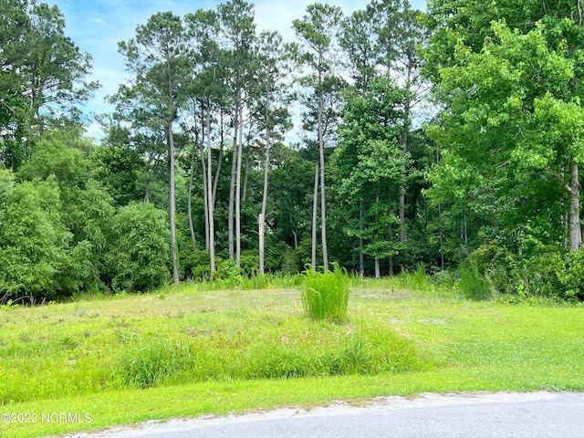 125 River Reach Dr W, Swansboro NC, 28584 land for sale