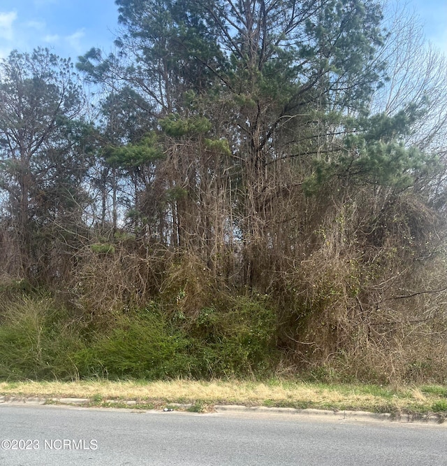 Listing photo 2 for LOT0 N Herritage St, Kinston NC 28501