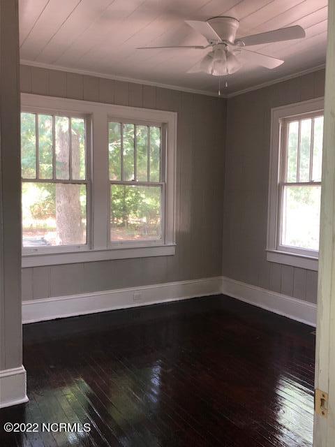 spare room featuring dark hardwood / wood-style flooring, ceiling fan, ornamental molding, and a healthy amount of sunlight