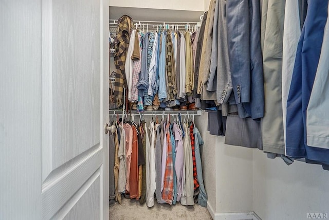 walk in closet with light colored carpet