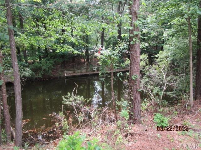 view of local wilderness featuring a water view