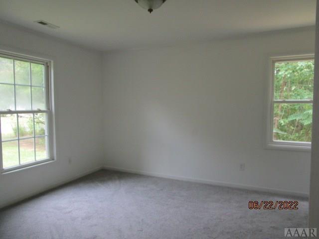 empty room featuring a wealth of natural light and carpet