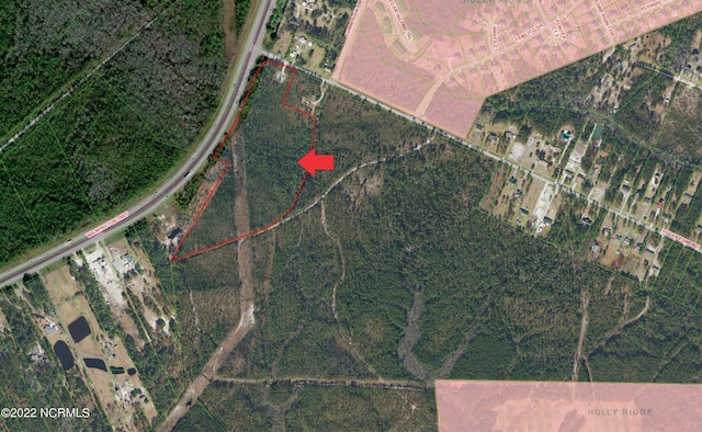 21.17ACRE Wilmington Hwy, Holly Ridge NC, 28445 land for sale