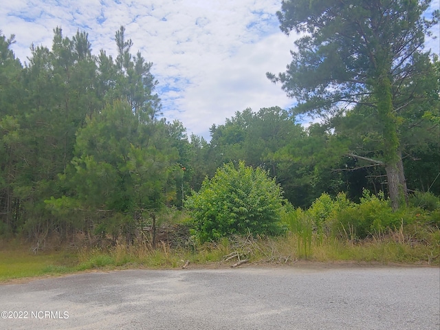 82 Elliott Ct Unit 50, Pinetops NC, 27864 land for sale