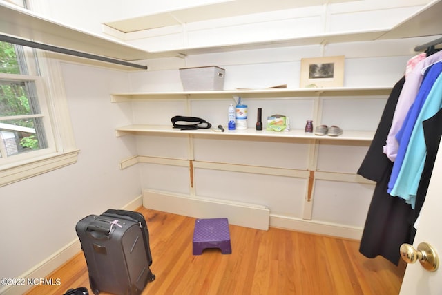 walk in closet with light wood-type flooring