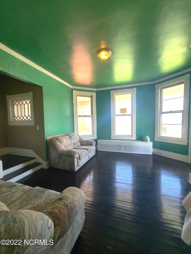 living room featuring dark wood-type flooring and ornamental molding