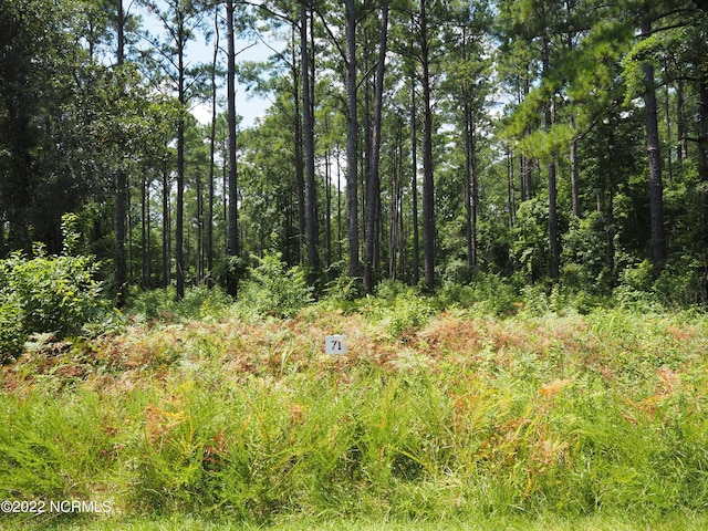 120 Cedarwood Dr, Havelock, NC 28532