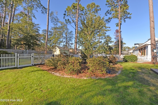 view of yard with a fenced front yard