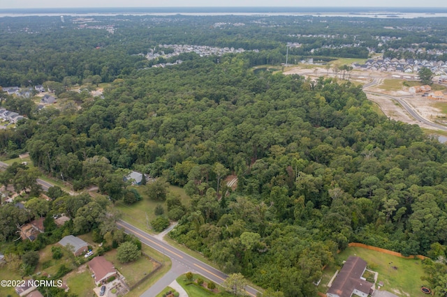 view of bird's eye view