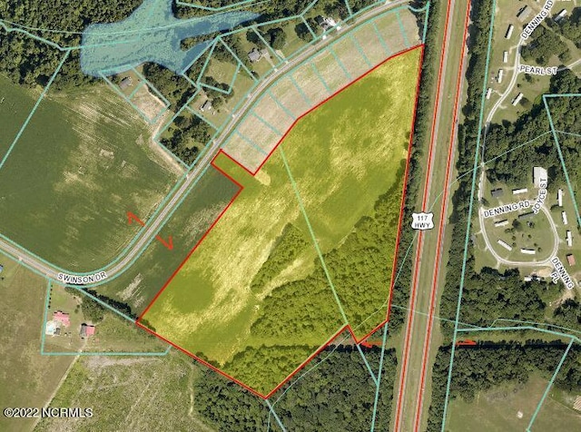 PARCEL2 Swinson Dr, Dudley NC, 28333 land for sale