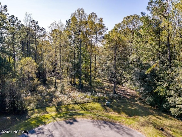 Listing photo 3 for 355 Trent Creek Dr Unit 15, Merritt NC 28556