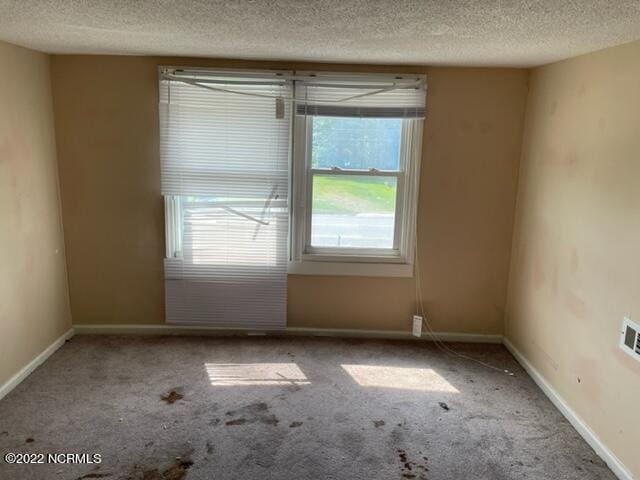 304 E Academy St, Robersonville, NC 27871 - unfurnished room featuring carpet flooring, a textured ceiling, and a healthy amount of sunlight