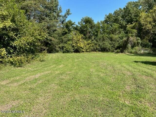 304 E Academy St, Robersonville, NC 27871 - view of yard