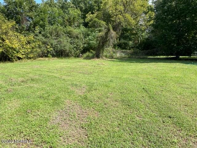 304 E Academy St, Robersonville, NC 27871 - view of yard