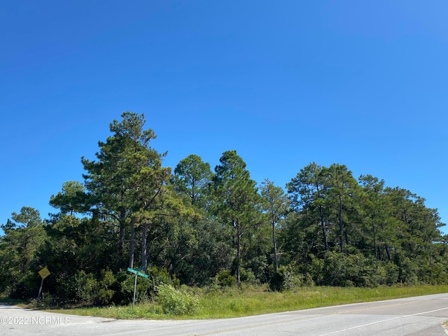 1785 Horizon Dr SW, Supply NC, 28462 land for sale