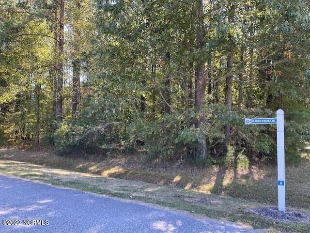 Listing photo 2 for 00 Franks Creek Dr Unit 21, Hertford NC 27944