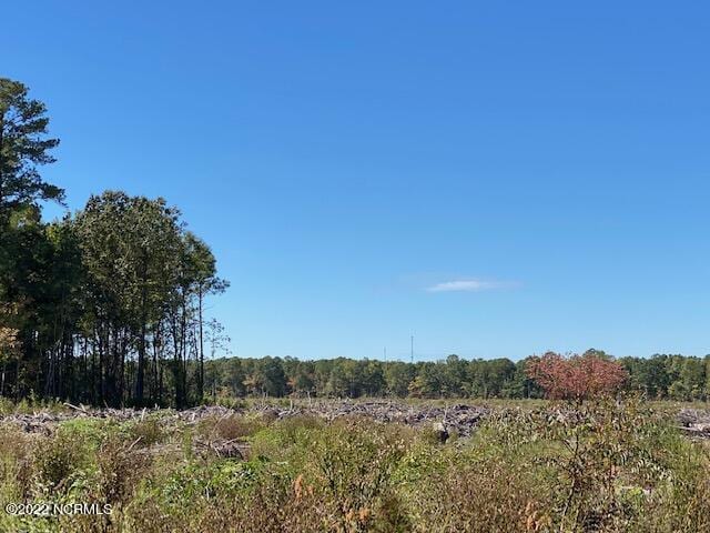 0 Ahoskie Cofield Rd, Ahoskie NC, 27910 land for sale