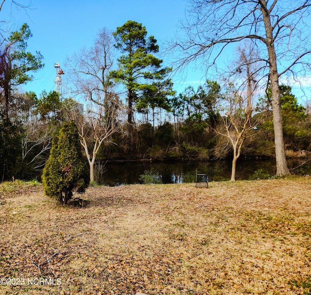 202/00 Vandemere Rd Unit 1 & 1A, Bayboro NC, 28515 land for sale