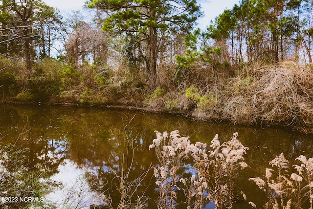 Listing photo 3 for 202/00 Vandemere Rd Unit 1 & 1A, Bayboro NC 28515