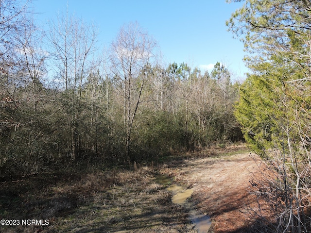 Listing photo 2 for 0 Jenkins Mill Rd, Conway NC 27820