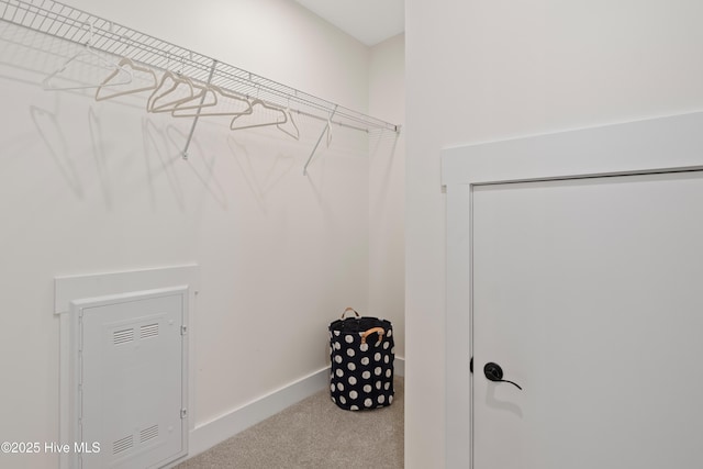 spacious closet with carpet