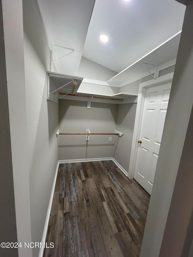 spacious closet with hardwood / wood-style flooring