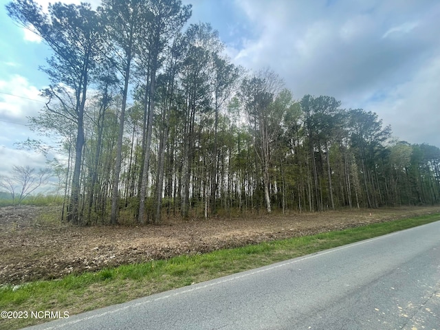 TBD E Saluda Hall Rd Unit 6, Ahoskie NC, 27910 land for sale