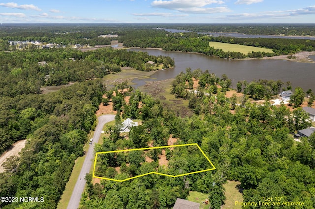 LOT10 Tree Hill Ln Unit 10, Hubert NC, 28539 land for sale