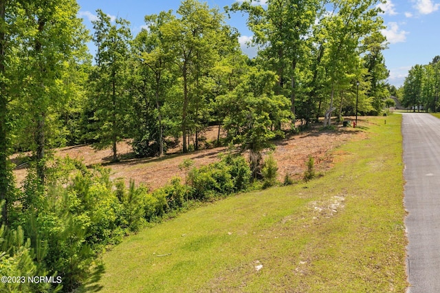 Listing photo 2 for LOT10 Tree Hill Ln Unit 10, Hubert NC 28539