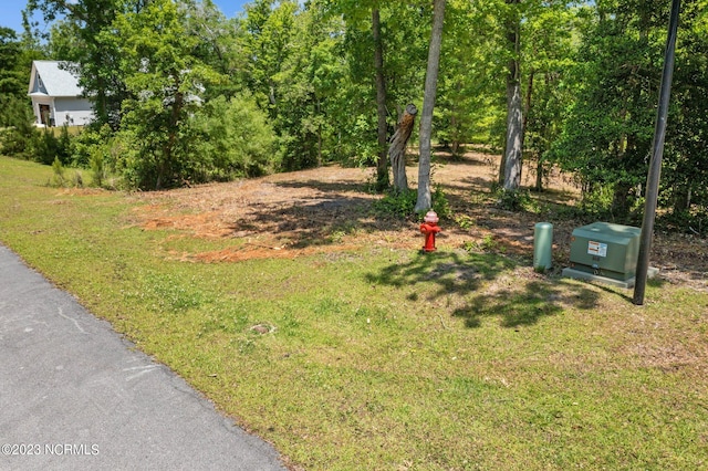 Listing photo 3 for LOT10 Tree Hill Ln Unit 10, Hubert NC 28539