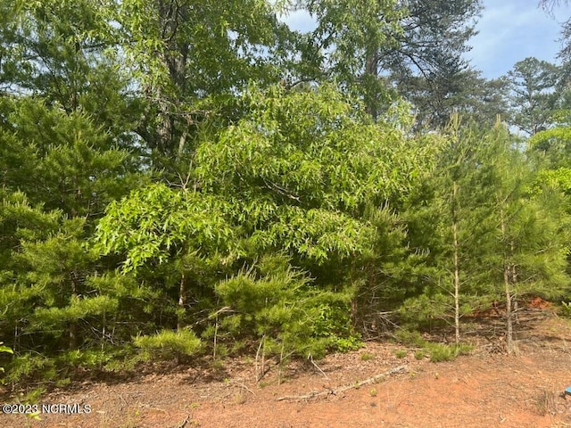 LOT96 Lakeview Pass, Rockingham NC, 28379 land for sale