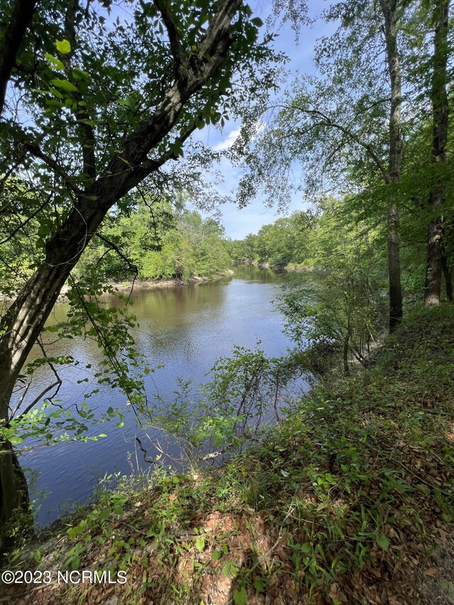 0 E Marney Dr Unit 1-A, Burgaw, NC 28425