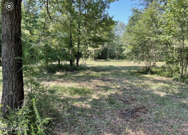 0 E Marney Dr Unit 1-A, Burgaw, NC 28425