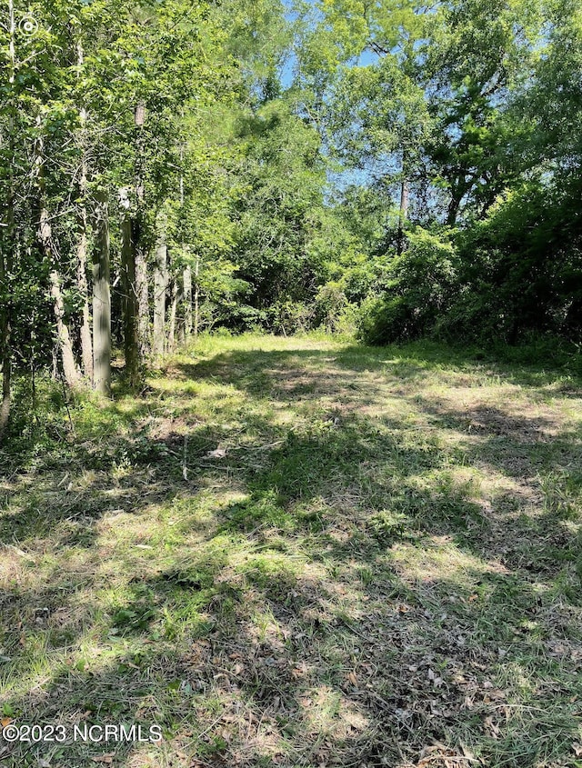 0 E Marney Dr Unit 1-A, Burgaw, NC 28425