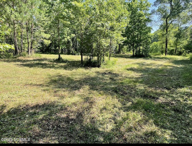 0 E Marney Dr Unit 1-A, Burgaw, NC 28425