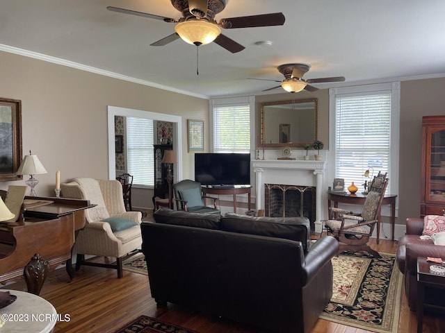 living room with ceiling fan, crown molding, and wood-type flooring