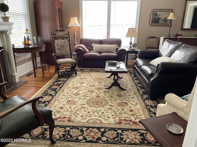 living room featuring hardwood / wood-style floors