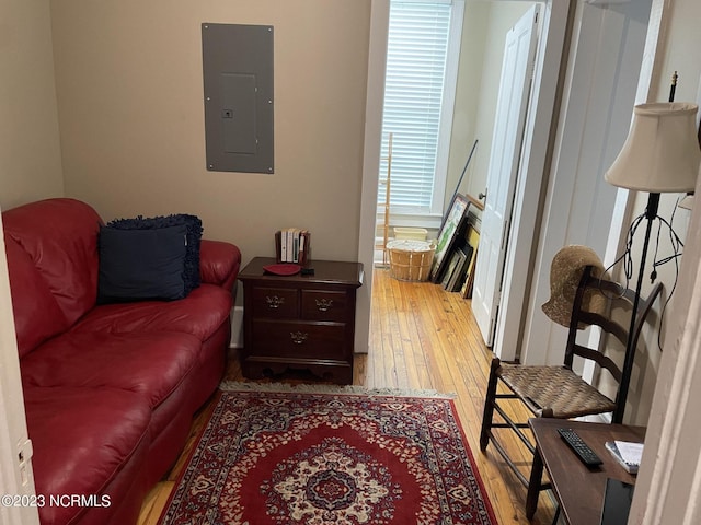 living room featuring light hardwood / wood-style floors and radiator