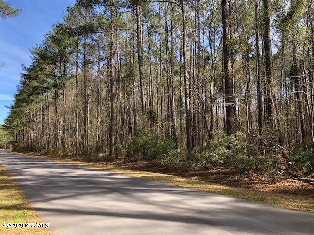 34 Spicers Creek Dr Unit 1, Oriental NC, 28571 land for sale