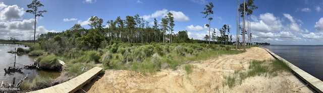 LOT51 W Dowry Crk, Belhaven NC, 27810 land for sale