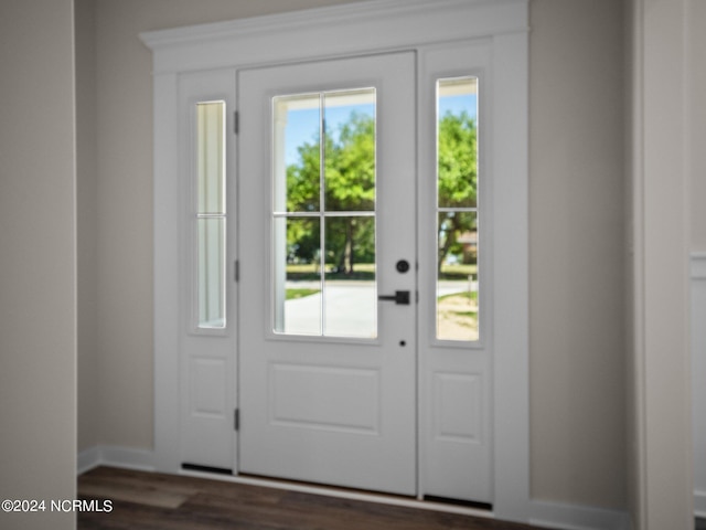 entryway with dark hardwood / wood-style flooring