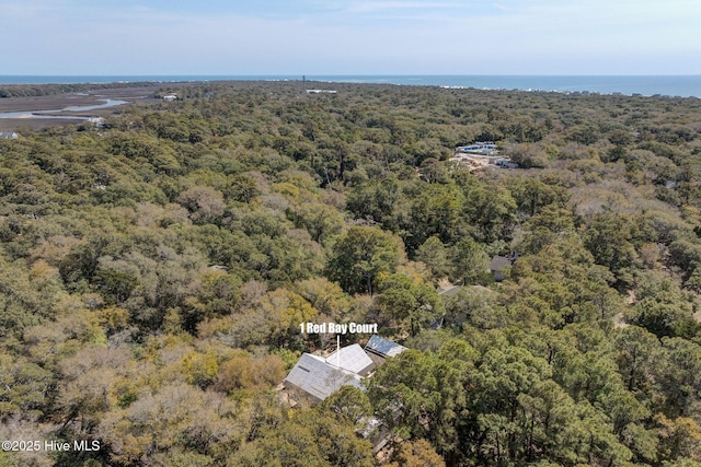 bird's eye view of a forest and a large body of water