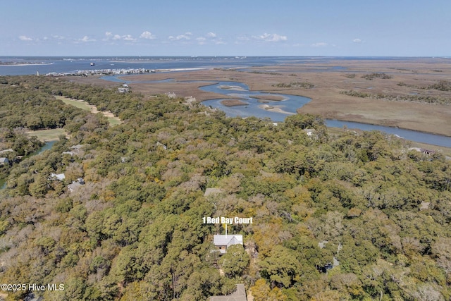 aerial view of property and surrounding area with a large body of water and a forest